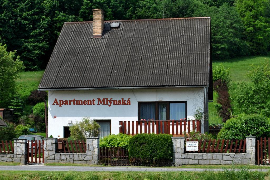 Apartment Mlynska 耶塞尼克 外观 照片